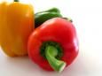 Capsicum